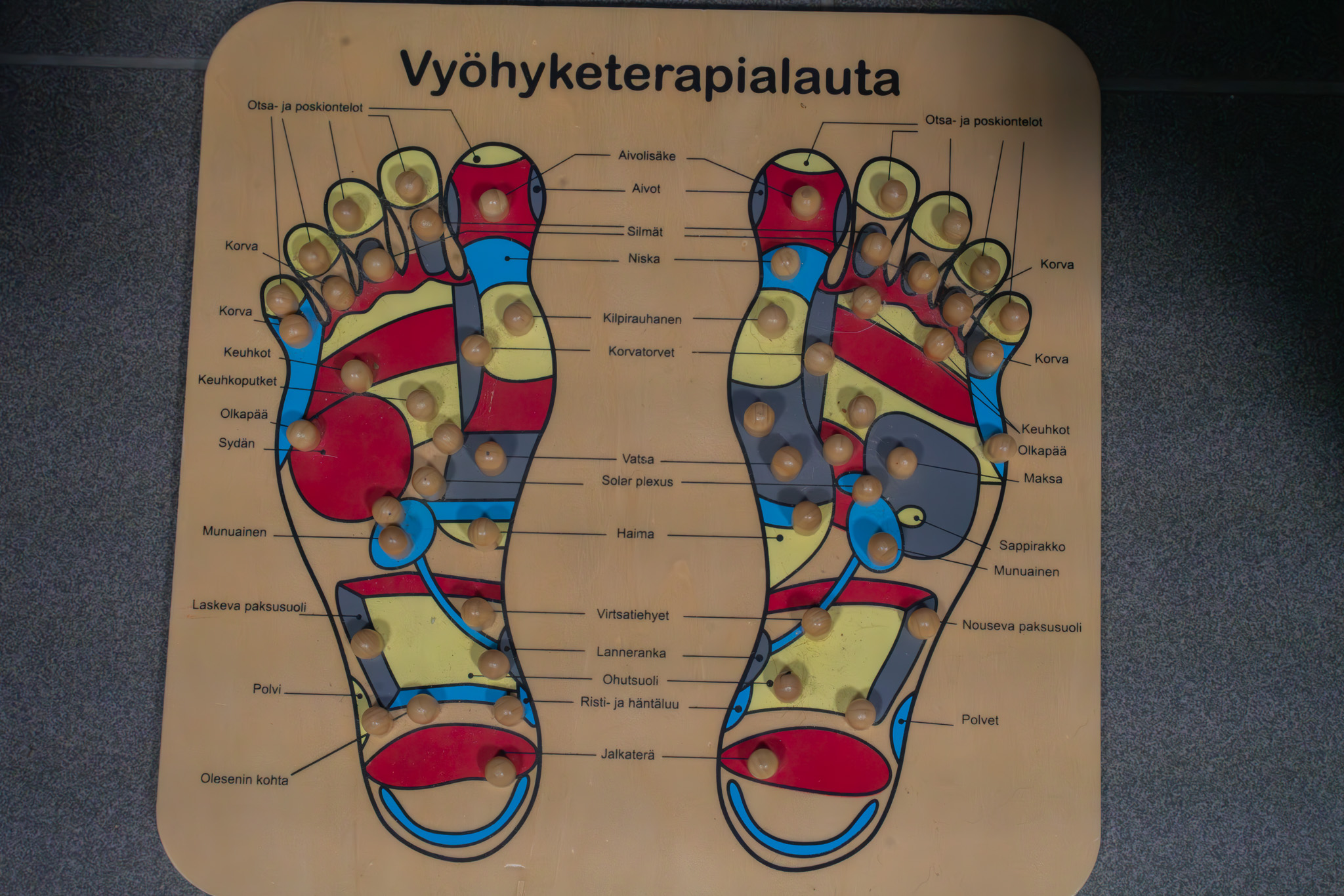 Puinen vyöhyketerapialauta, jossa jalat ja niiden alueet on merkitty eri väreillä ja napeilla, osoittaen kehon eri elimiä ja kohtia.
